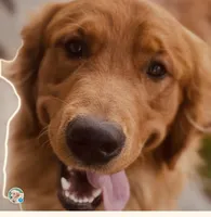 processed/4a26abf9-f086-40c9-8337-959d2dc9c733/facility/cb040fc1-40c6-4bb1-bda2-99b548e8de1e