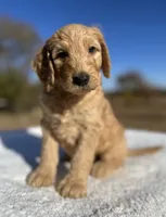 processed/4a301dcb-b4d4-4a6f-92ba-742fcdf06900/listing/1469baae-9fef-4c56-8525-34abb94a64ac/0ad8b040-f748-4eec-91fe-11924b6eec08