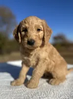 processed/4a301dcb-b4d4-4a6f-92ba-742fcdf06900/listing/1469baae-9fef-4c56-8525-34abb94a64ac/1470e9c4-e63e-41f4-9851-869ea9595058