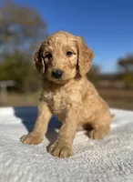 processed/4a301dcb-b4d4-4a6f-92ba-742fcdf06900/listing/1469baae-9fef-4c56-8525-34abb94a64ac/bc96ddb5-b5be-47a0-9bca-868ffbb0b732