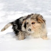 processed/4a318395-25c2-4f00-be2d-aac8d3af4074/facility/0aa22049-a5a4-4408-a95a-e0e31e4a1491