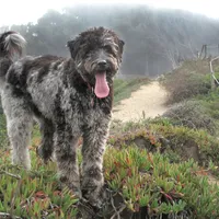 processed/4a318395-25c2-4f00-be2d-aac8d3af4074/facility/0b964c36-7ef9-47a0-bed0-e7be3adce309