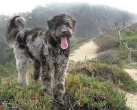 processed/4a318395-25c2-4f00-be2d-aac8d3af4074/facility/0b964c36-7ef9-47a0-bed0-e7be3adce309