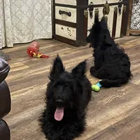 processed/4a318395-25c2-4f00-be2d-aac8d3af4074/facility/0d21bf0c-6054-4076-bc25-627c23ccede0