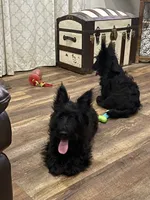 processed/4a318395-25c2-4f00-be2d-aac8d3af4074/facility/0d21bf0c-6054-4076-bc25-627c23ccede0