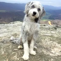 processed/4a318395-25c2-4f00-be2d-aac8d3af4074/facility/38c70dfa-814b-46f3-9ccc-ca81655e7a67