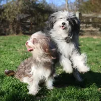 processed/4a318395-25c2-4f00-be2d-aac8d3af4074/facility/64abb591-57a9-42d6-9530-71190958c981