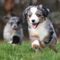 processed/4a318395-25c2-4f00-be2d-aac8d3af4074/facility/6749229e-58d6-4f1c-b680-1bb22888ff00