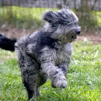 processed/4a318395-25c2-4f00-be2d-aac8d3af4074/facility/708dde45-0c72-458f-a282-ecd2d1bdeabf