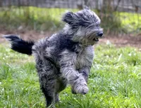 processed/4a318395-25c2-4f00-be2d-aac8d3af4074/facility/708dde45-0c72-458f-a282-ecd2d1bdeabf