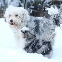 processed/4a318395-25c2-4f00-be2d-aac8d3af4074/facility/de3614a4-e26e-4c5a-b287-29c77fbddb67