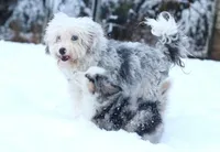 processed/4a318395-25c2-4f00-be2d-aac8d3af4074/facility/de3614a4-e26e-4c5a-b287-29c77fbddb67