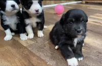 processed/4a318395-25c2-4f00-be2d-aac8d3af4074/listing/3d81a6f7-8ce9-4339-944d-2b7d1236b7b7/47209d14-6a91-43a7-a23a-bf28d53dbbcc