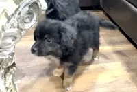 processed/4a318395-25c2-4f00-be2d-aac8d3af4074/listing/3d81a6f7-8ce9-4339-944d-2b7d1236b7b7/6fb653c1-1909-40ae-bd47-842a7b69dfb5