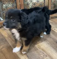 processed/4a318395-25c2-4f00-be2d-aac8d3af4074/listing/3d81a6f7-8ce9-4339-944d-2b7d1236b7b7/b69469de-e8d4-4f60-8218-ae2e7ae5e8fd