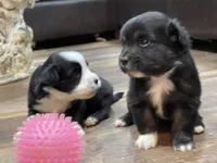 processed/4a318395-25c2-4f00-be2d-aac8d3af4074/listing/3d81a6f7-8ce9-4339-944d-2b7d1236b7b7/b9ab5a94-cd11-4610-acbd-31987aa534d2