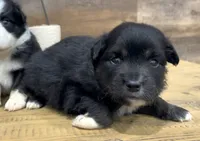 processed/4a318395-25c2-4f00-be2d-aac8d3af4074/listing/3d81a6f7-8ce9-4339-944d-2b7d1236b7b7/d6f5f368-61c4-43db-ab54-64936097242e