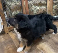 processed/4a318395-25c2-4f00-be2d-aac8d3af4074/listing/3d81a6f7-8ce9-4339-944d-2b7d1236b7b7/fbfa2a9e-087a-49e7-b902-420b663a1ebc