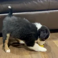 processed/4a318395-25c2-4f00-be2d-aac8d3af4074/listing/8b83bc92-8b14-4a35-8f1d-3b9c2e54d0d6/1796ebcc-4fc6-47ce-a405-589e3345d406