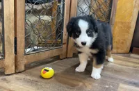 processed/4a318395-25c2-4f00-be2d-aac8d3af4074/listing/8b83bc92-8b14-4a35-8f1d-3b9c2e54d0d6/ce65944b-0b68-4404-819d-e9faf44355bd