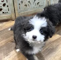 processed/4a318395-25c2-4f00-be2d-aac8d3af4074/listing/e9701f67-cff9-442a-85d0-849bd9b60694/0e34b245-3636-4548-ad79-83bcbaa4daf1