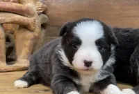 processed/4a318395-25c2-4f00-be2d-aac8d3af4074/listing/e9701f67-cff9-442a-85d0-849bd9b60694/f14a8d41-00b5-46e1-a203-727eda03de2a