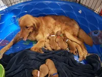 processed/4a3a86c7-1ce4-4c51-9797-fc58bb83b633/facility/377e59dd-87de-4d5c-9864-8df985ed3313