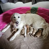 processed/4a3a86c7-1ce4-4c51-9797-fc58bb83b633/facility/42426c55-6f31-41d3-b45c-1e3fecf518f1