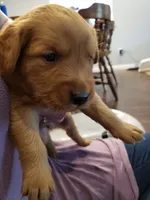 processed/4a3a86c7-1ce4-4c51-9797-fc58bb83b633/facility/548b7e82-cb95-4c99-bf04-2214235e598a