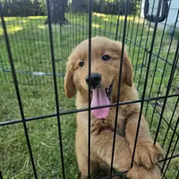 processed/4a3a86c7-1ce4-4c51-9797-fc58bb83b633/facility/81398148-93ee-421a-a917-d83eb0221c31