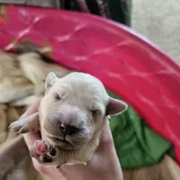 processed/4a3a86c7-1ce4-4c51-9797-fc58bb83b633/facility/b33b43e2-8f6b-45e6-903d-f5e88b92b295