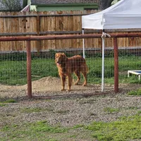 processed/4a3a86c7-1ce4-4c51-9797-fc58bb83b633/facility/cd8a498a-9712-437d-af07-d46084f7dbfd