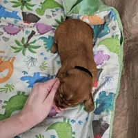 processed/4a3a86c7-1ce4-4c51-9797-fc58bb83b633/listing/92739503-734e-4955-a4ef-0f9345c3f8d6/43dd2215-f57c-4c4b-8d98-bccb7f3a3712