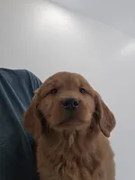 processed/4a3a86c7-1ce4-4c51-9797-fc58bb83b633/listing/92739503-734e-4955-a4ef-0f9345c3f8d6/5633566c-56ad-4169-bebd-139f7a1dbcde