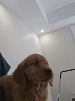 processed/4a3a86c7-1ce4-4c51-9797-fc58bb83b633/listing/92739503-734e-4955-a4ef-0f9345c3f8d6/6021f212-b76a-40a0-b4a9-641d39e64c76