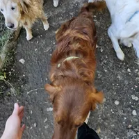 processed/4a3a86c7-1ce4-4c51-9797-fc58bb83b633/listing/92739503-734e-4955-a4ef-0f9345c3f8d6/b2243dfa-03e9-4474-b41c-b828b326d5a1