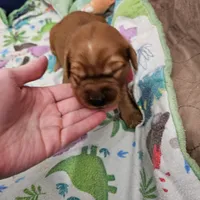 processed/4a3a86c7-1ce4-4c51-9797-fc58bb83b633/listing/92739503-734e-4955-a4ef-0f9345c3f8d6/ec7a655e-b45b-4d86-af69-363475282b43