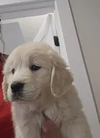 processed/4a3a86c7-1ce4-4c51-9797-fc58bb83b633/listing/c7b4ae87-5d02-4fc9-8d85-d9d90ddf3828/1ef67cdd-aef7-4db3-b8bb-14719f3db1a8