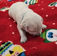 processed/4a3a86c7-1ce4-4c51-9797-fc58bb83b633/listing/c7b4ae87-5d02-4fc9-8d85-d9d90ddf3828/7e46d14a-8900-42e8-88e0-2afe1f4337f6