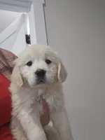 processed/4a3a86c7-1ce4-4c51-9797-fc58bb83b633/listing/c7b4ae87-5d02-4fc9-8d85-d9d90ddf3828/ed61b293-bfb6-4f8c-98be-9f8459764fd6