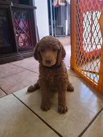 processed/4a47a927-420c-4ab0-adb3-61328c2b924e/facility/06cc7830-249b-4316-a2e3-c4f210a9ce16