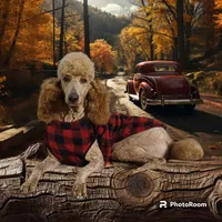 processed/4a47a927-420c-4ab0-adb3-61328c2b924e/facility/09e888f7-22ae-4697-8791-5982ef10e95e