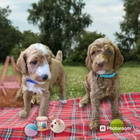 processed/4a47a927-420c-4ab0-adb3-61328c2b924e/facility/3197cdb6-60f1-4d54-9818-a18cd0b2454b