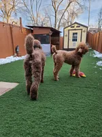 processed/4a47a927-420c-4ab0-adb3-61328c2b924e/facility/76dbe483-3244-47b1-9a06-acc6c34953e5