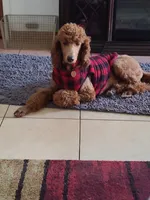 processed/4a47a927-420c-4ab0-adb3-61328c2b924e/facility/963da4b4-8003-4068-91e9-35afce5c73b4