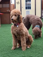 processed/4a47a927-420c-4ab0-adb3-61328c2b924e/facility/983951a1-8418-4d64-96fb-00550db5918b