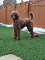 processed/4a47a927-420c-4ab0-adb3-61328c2b924e/facility/a68d0f34-3b00-4511-8a61-d115e05fae39