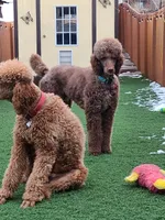 processed/4a47a927-420c-4ab0-adb3-61328c2b924e/facility/f8486f6b-1131-4b70-9cf1-544ffb18758f