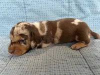 processed/4a4b3fd0-ab45-4cd6-86f7-20e7ac286177/listing/0489812e-8127-4e6d-bba8-2e63c980a302/40285346-daae-4792-a2b3-20b43ca19314