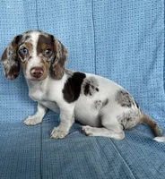 processed/4a4b3fd0-ab45-4cd6-86f7-20e7ac286177/listing/0489812e-8127-4e6d-bba8-2e63c980a302/4218f570-ed31-4aa5-8464-813e759ad801